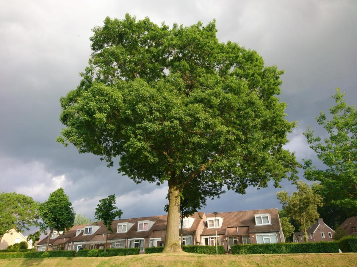 Droomzzz Herkenbosch Exteriér fotografie